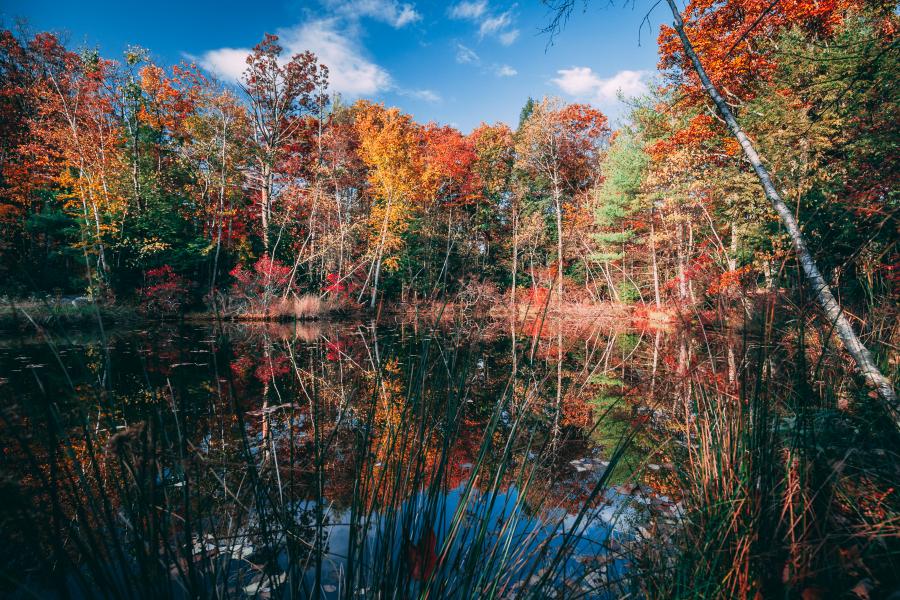 cabin, barn, lake, water, rural, country, wooded, deck, 