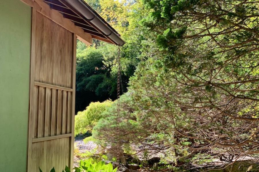 garden, zen, bridge, wooded, 