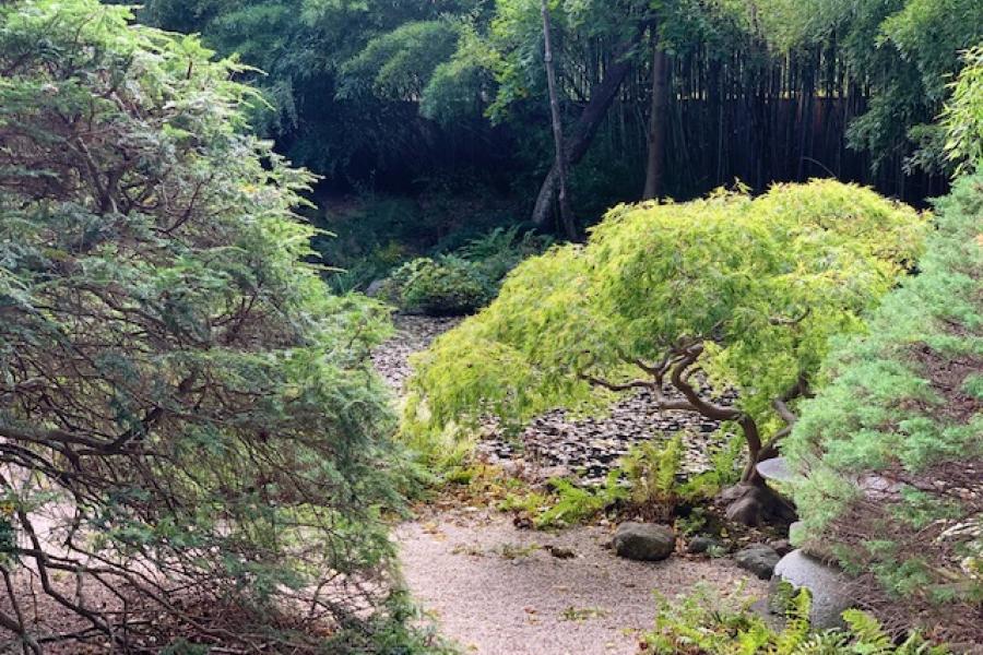 garden, zen, bridge, wooded, 