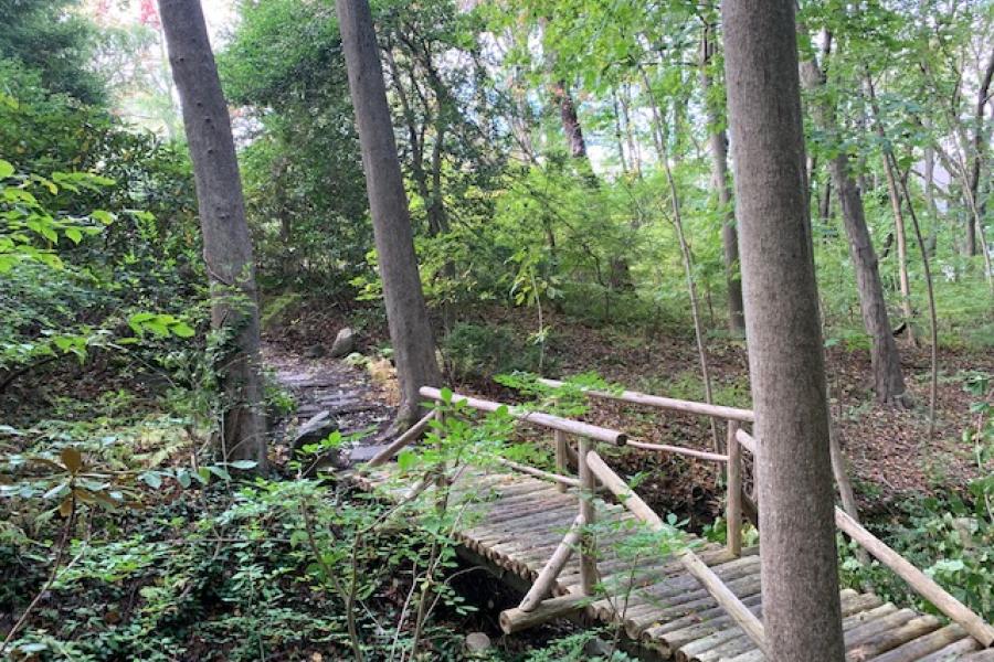 garden, zen, bridge, wooded, 