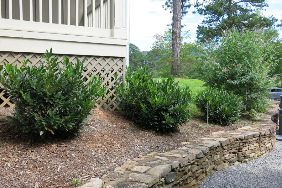 rural, wooded, porch, kitchen, bathroom, 