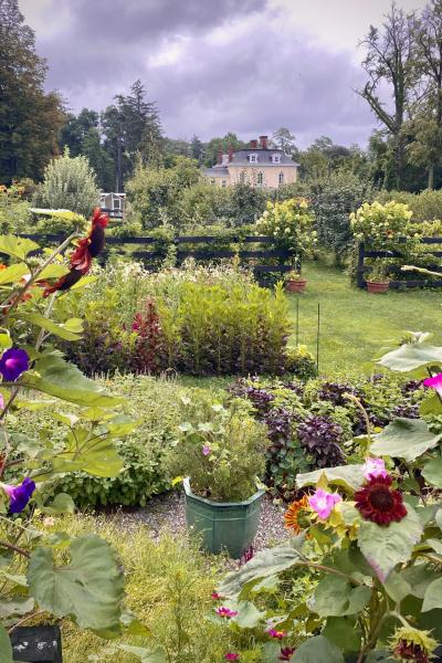 farm, greenhouse, field, rural, country, kitchen, 