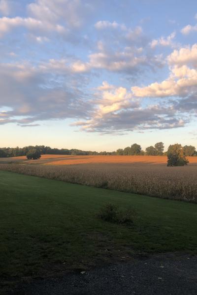 farmhouse, farm, rural, country, field, lake, barn, porch, 