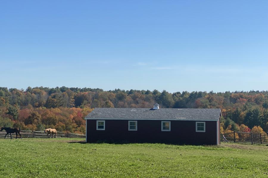 horse, farm, barn, stable, rural, field, lake, 