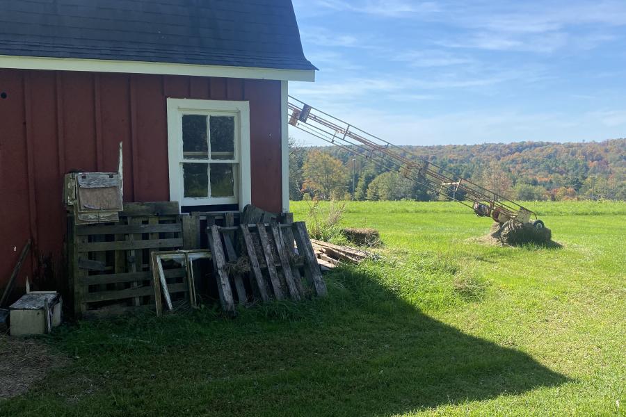 horse, farm, barn, stable, rural, field, lake, 