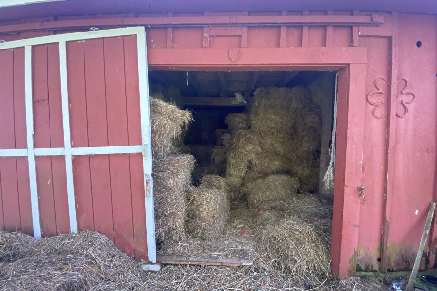 horse, farm, barn, stable, rural, field, lake, 