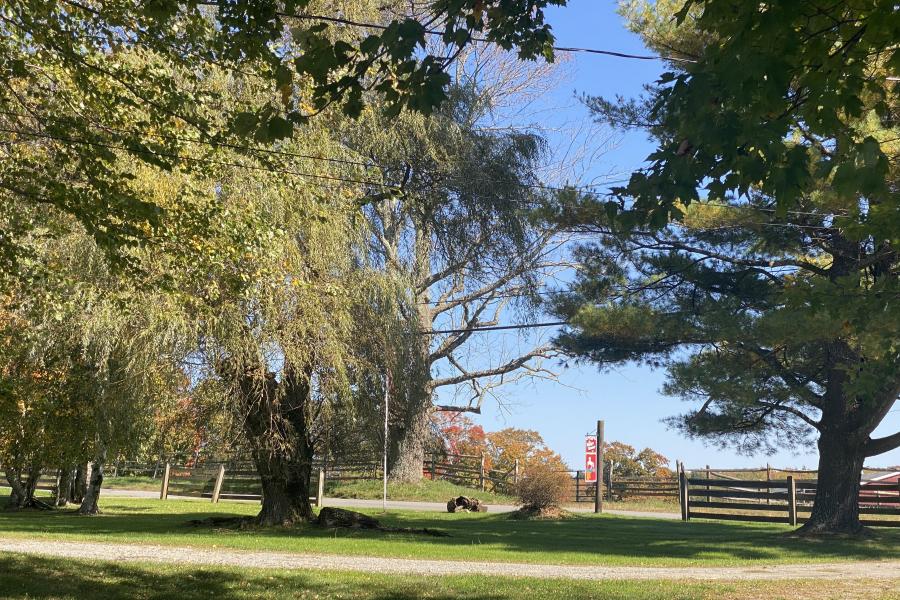 horse, farm, barn, stable, rural, field, lake, 