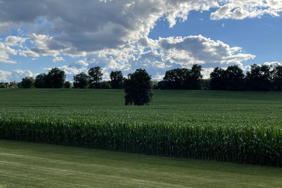 farmhouse, farm, rural, country, field, lake, barn, porch, 