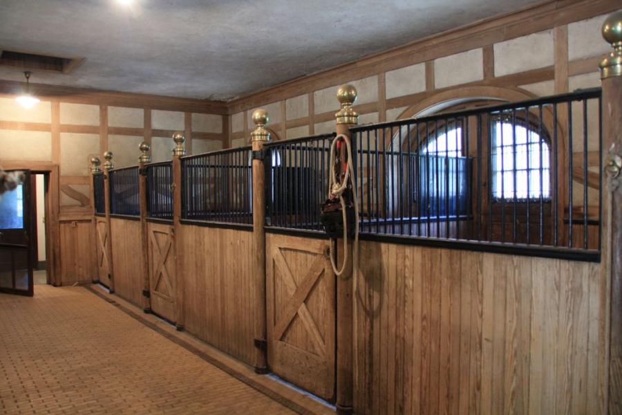 country, farm, horse, rustic, field, barn, 