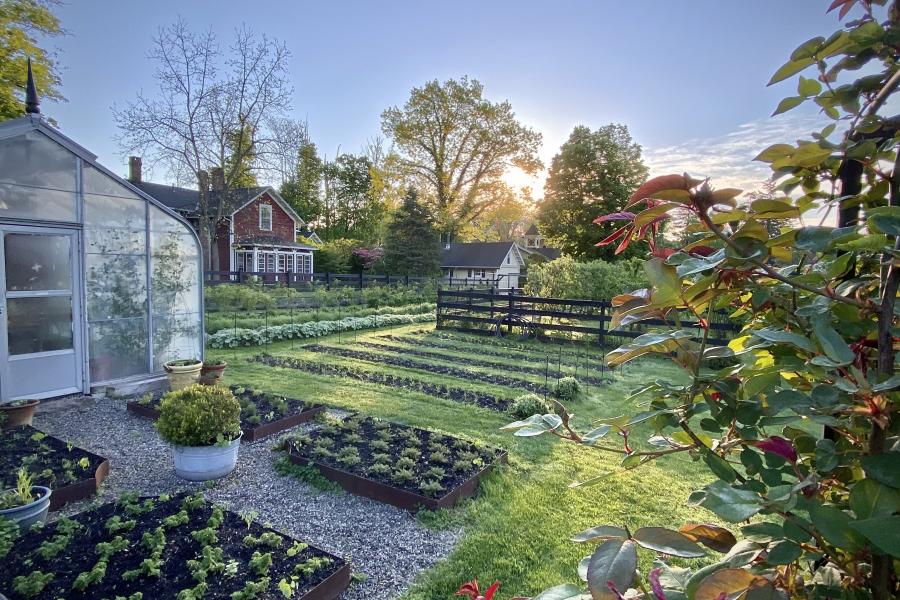 farm, greenhouse, field, rural, country, 