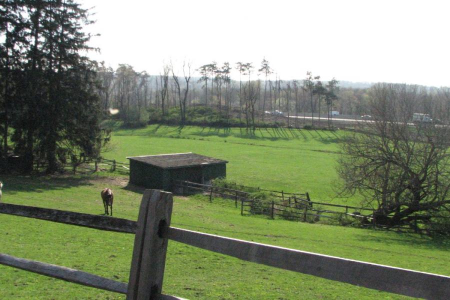 country, farm, horse, rustic, field, barn, 