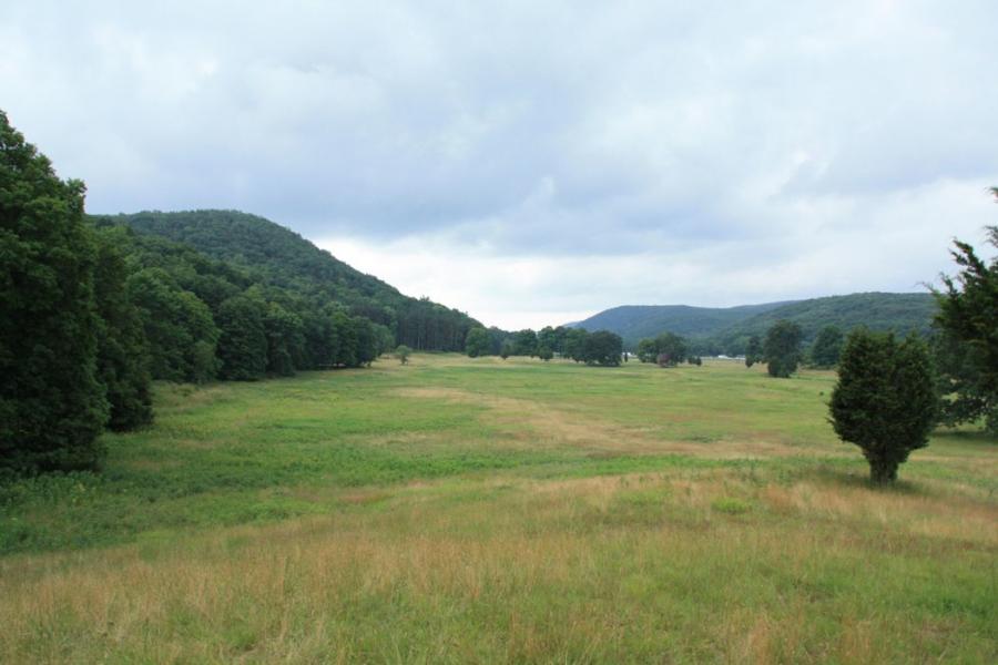 country, farm, horse, rustic, field, barn, 