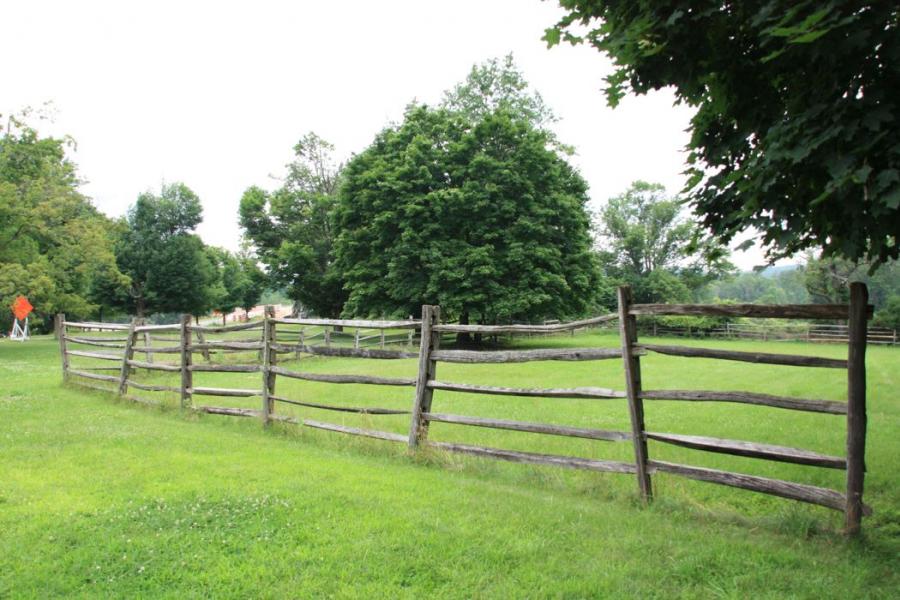 country, farm, horse, rustic, field, barn, 