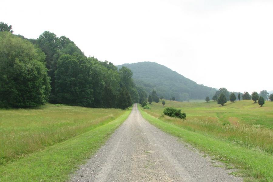 country, farm, horse, rustic, field, barn, 