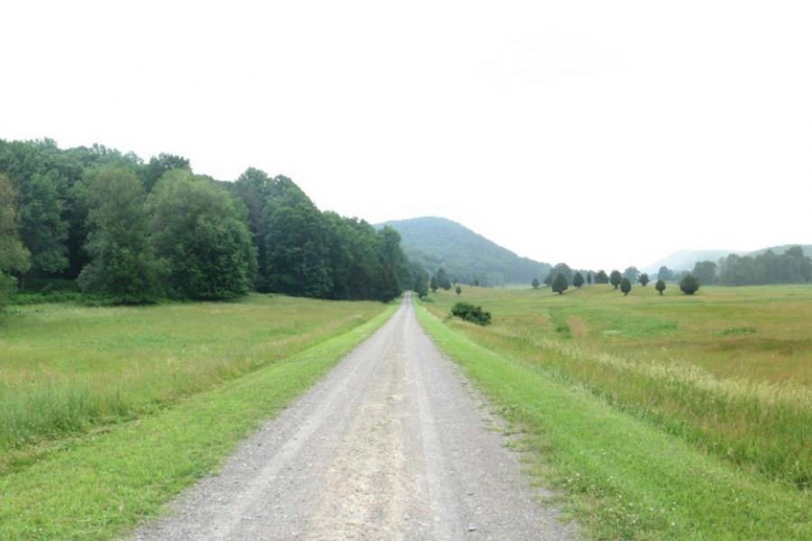 country, farm, horse, rustic, field, barn, 