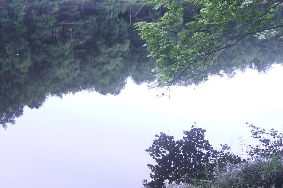 cabin, lake, rural, country, 