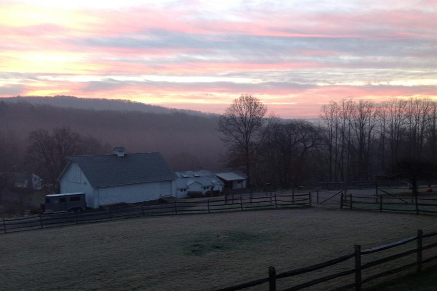 farm, field, barn, 