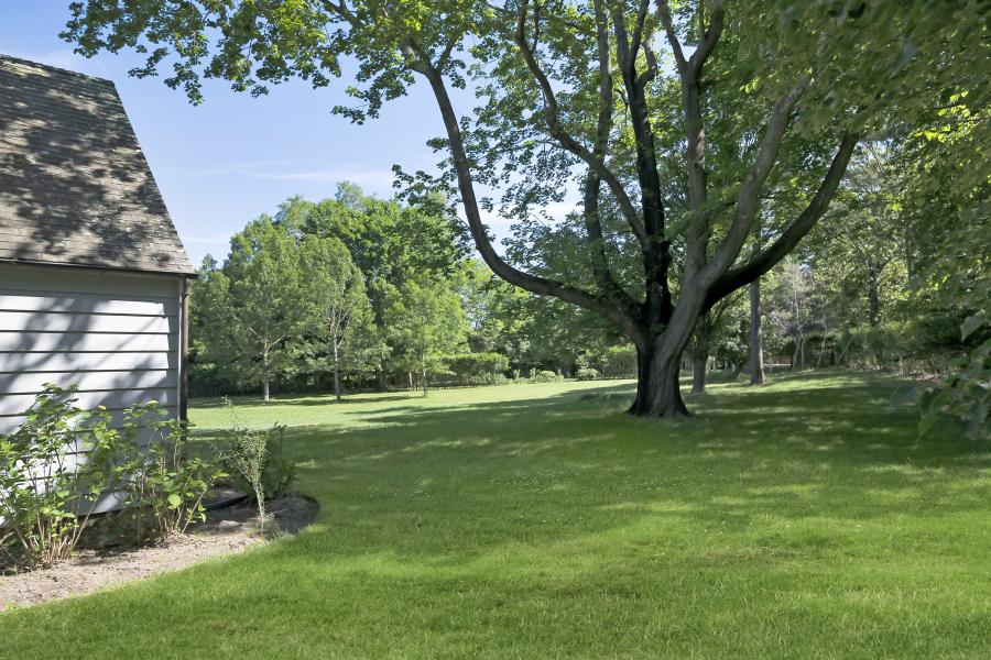 Hamptons, contemporary, bathroom, kitchen, horse, light, 