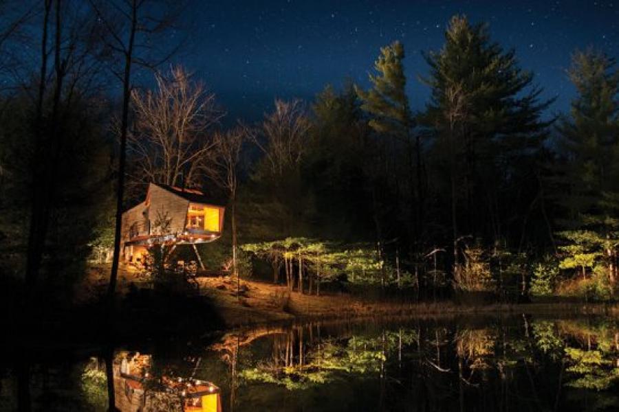 cabin, wooded, wood, pond, lake, glass, fireplace, 