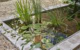 industrial, light, concrete, garden, textured walls, 