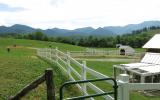 farm, farmhouse, field, water, pond, rural, stone, barn, Asheville, 