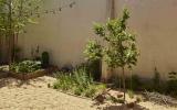 industrial, light, concrete, garden, textured walls, 