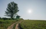 country, farm, horse, rustic, library, barn, stable, water, stone, rolling hill, greenhouse, boathouse, 