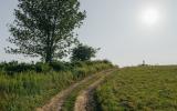 country, farm, horse, rustic, library, barn, stable, water, stone, rolling hill, greenhouse, boathouse, 