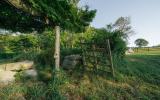 country, farm, horse, rustic, library, barn, stable, water, stone, rolling hill, greenhouse, boathouse, 