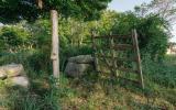 country, farm, horse, rustic, library, barn, stable, water, stone, rolling hill, greenhouse, boathouse, 