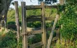 country, farm, horse, rustic, library, barn, stable, water, stone, rolling hill, greenhouse, boathouse, 