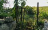 country, farm, horse, rustic, library, barn, stable, water, stone, rolling hill, greenhouse, boathouse, 