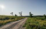 country, farm, horse, rustic, library, barn, stable, water, stone, rolling hill, greenhouse, boathouse, 