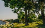 country, farm, horse, rustic, library, barn, stable, water, stone, rolling hill, greenhouse, boathouse, 