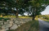 country, farm, horse, rustic, library, barn, stable, water, stone, rolling hill, greenhouse, boathouse, 