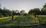 country, farm, horse, rustic, library, barn, stable, water, stone, rolling hill, greenhouse, boathouse, 