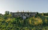 country, farm, horse, rustic, library, barn, stable, water, stone, rolling hill, greenhouse, boathouse, 