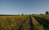 country, farm, horse, rustic, library, barn, stable, water, stone, rolling hill, greenhouse, boathouse, 