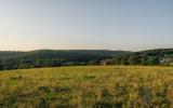 country, farm, horse, rustic, library, barn, stable, water, stone, rolling hill, greenhouse, boathouse, 