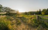 country, farm, horse, rustic, library, barn, stable, water, stone, rolling hill, greenhouse, boathouse, 