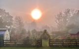 farm, greenhouse, field, rural, country, kitchen, 