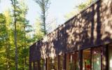 cabin, glass, wooded, light, airy, contemporary, 