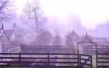 farm, greenhouse, field, rural, country, kitchen, 