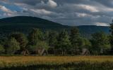 country, cabin, hotel, funky, fireplace, wooded, 