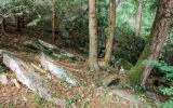 log house, cabin, stone, water, rural, Asheville, 