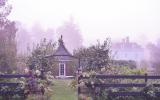 farm, greenhouse, field, rural, country, kitchen, 