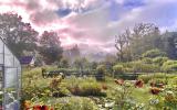 farm, greenhouse, field, rural, country, kitchen, 