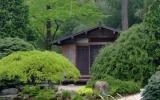 garden, zen, bridge, wooded, 