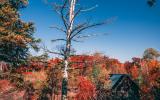 cabin, barn, lake, water, rural, country, wooded, deck, 