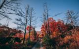 cabin, barn, lake, water, rural, country, wooded, deck, 